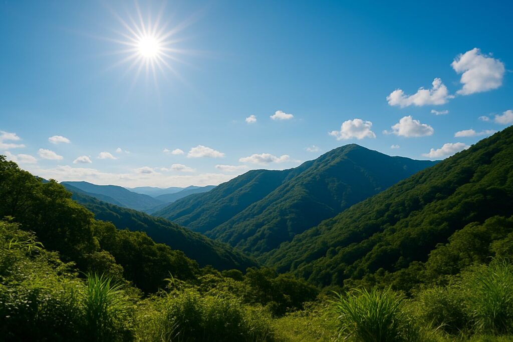夏の太陽が照り付ける山